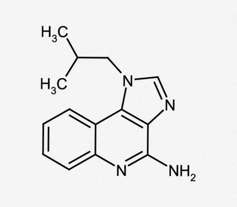 Imiquimod crema